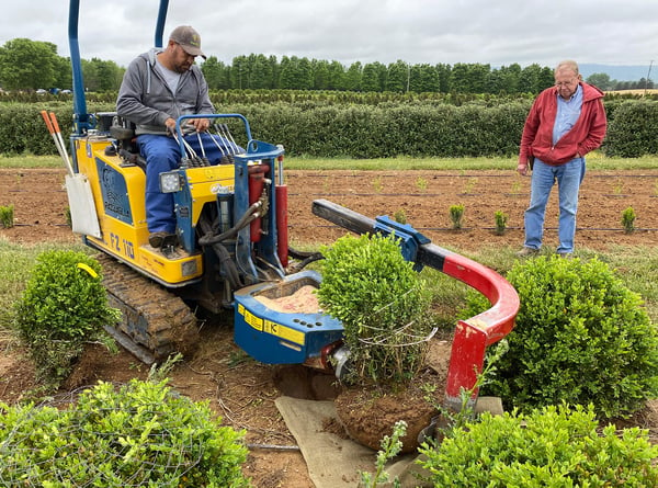 summer-dig-plants-with-Pazzaglia-equipment