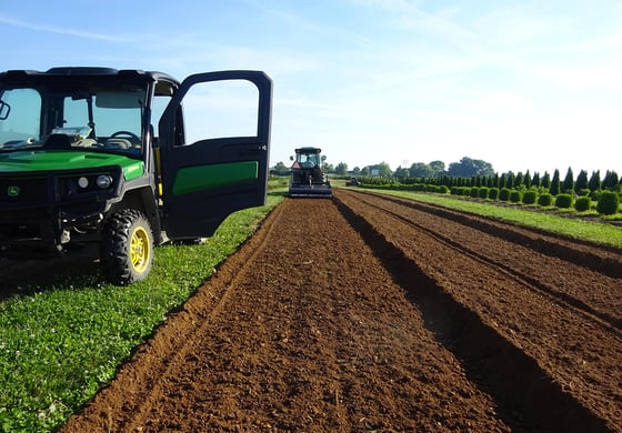 freshly tilled nursery row