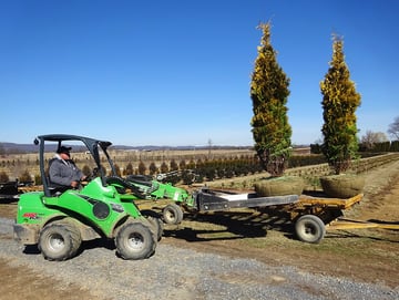 03 loading b&b nursery trees onto trailer