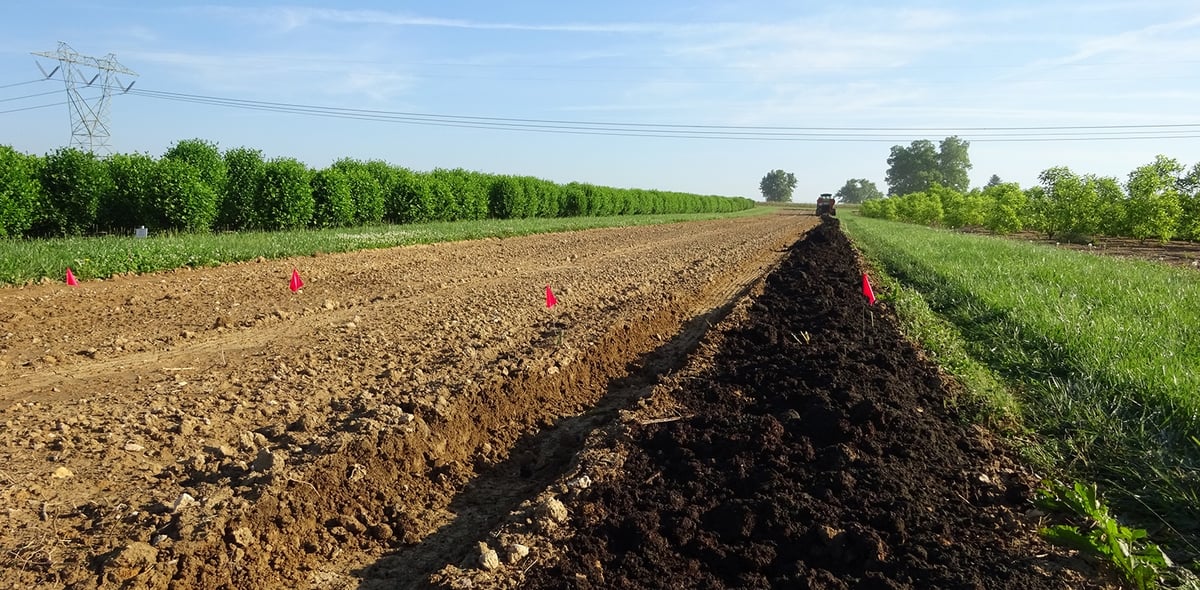 nutrient rich compost improves soil structure