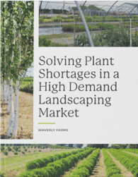 ebook-cover-solving-plant-shortages-in-high-demand-landscaping-market
