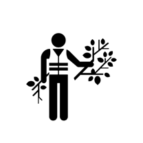 noun_Brush Harvesting_7168 (1)