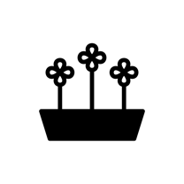 noun_Plant_3705616