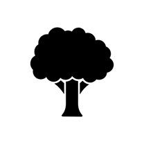 noun_Tree_4355772