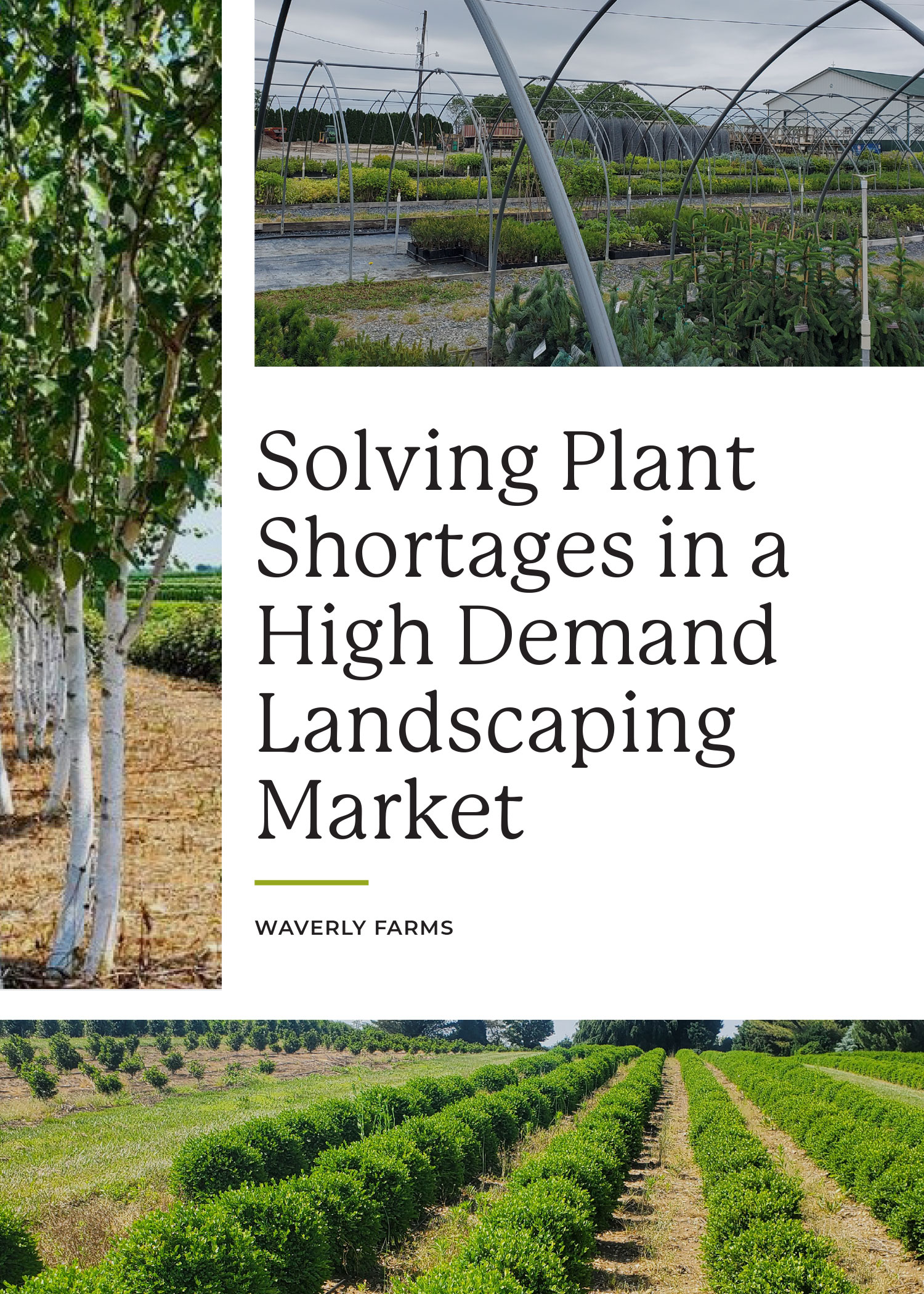 Solving Landscape Plant Shortages in a High Demand Landscaping Market